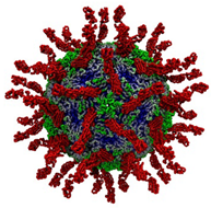 Education 08 00166 i005 Education 08 00166 i005