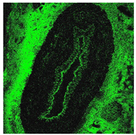 Education 08 00166 i006 Education 08 00166 i006