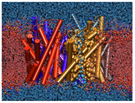 Education 08 00166 i008 Education 08 00166 i008