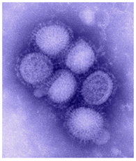 Education 08 00166 i010 Education 08 00166 i010