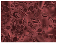 Education 08 00166 i011 Education 08 00166 i011