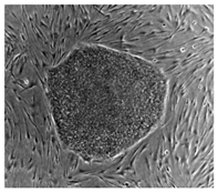 Education 08 00166 i012 Education 08 00166 i012