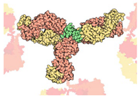 Education 08 00166 i013 Education 08 00166 i013