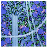 Education 08 00166 i014 Education 08 00166 i014