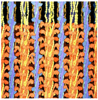 Education 08 00166 i015 Education 08 00166 i015