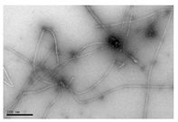 Education 08 00166 i017 Education 08 00166 i017