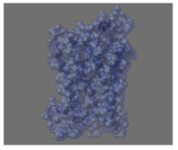 Education 08 00166 i020 Education 08 00166 i020