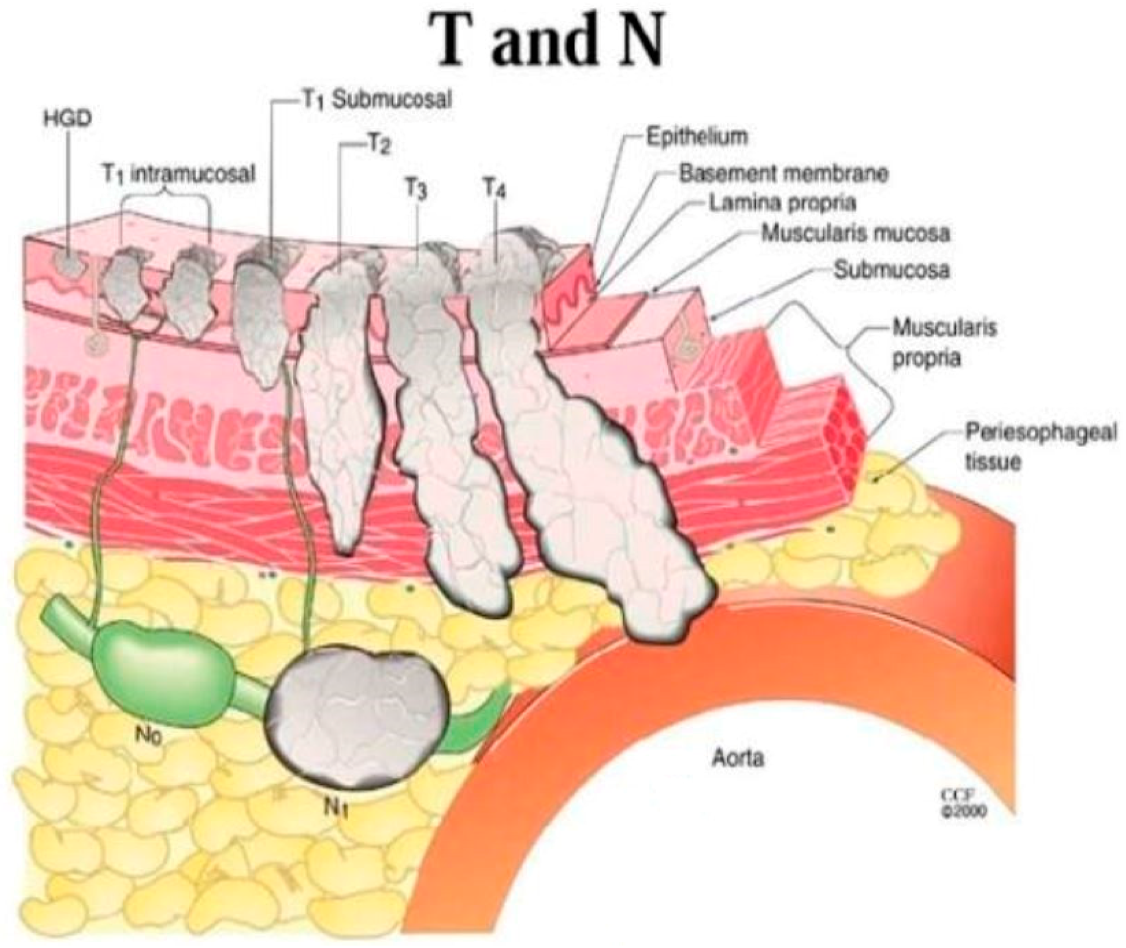 Education 08 00201 g005