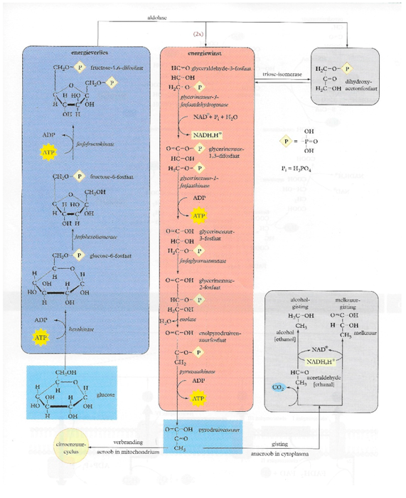 Education 09 00072 i001 Education 09 00072 i001