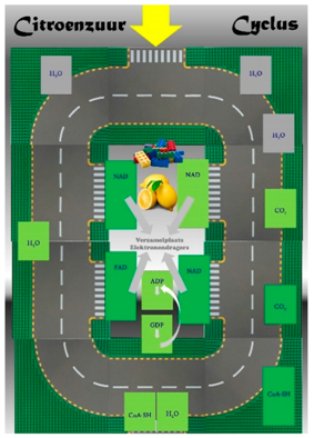 Education 09 00072 i005 Education 09 00072 i005