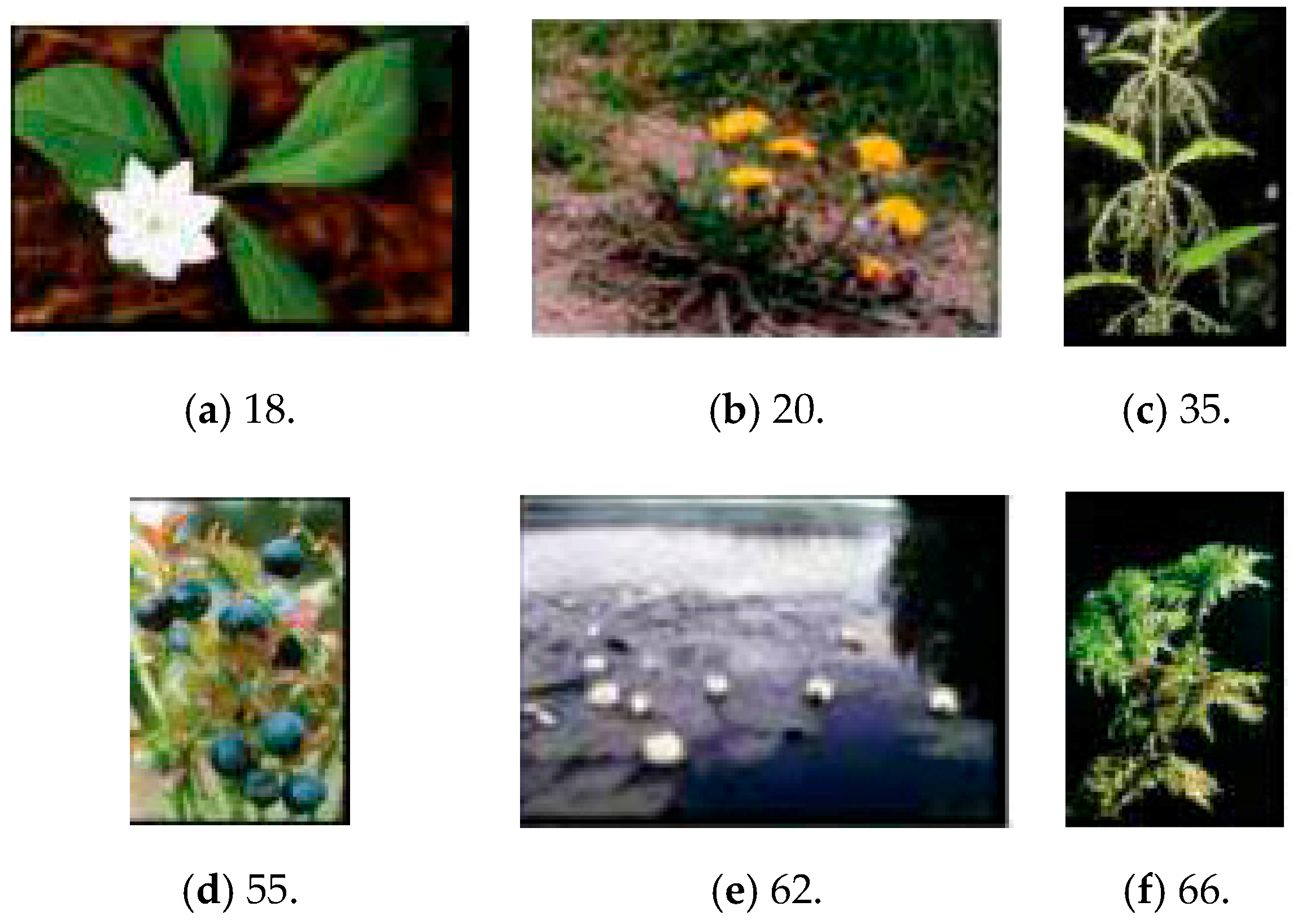 Education 09 00085 g001