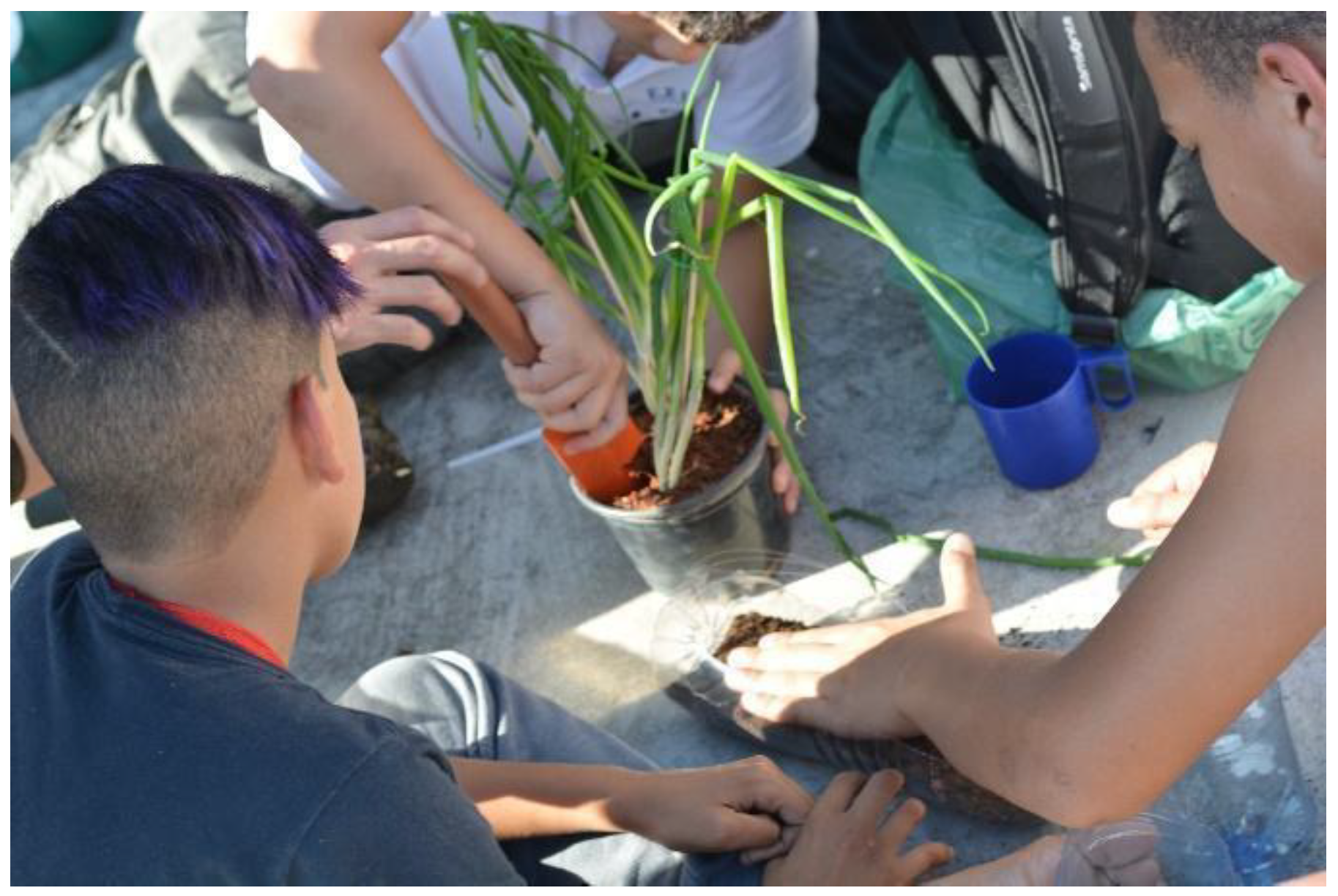 Education 09 00161 g004