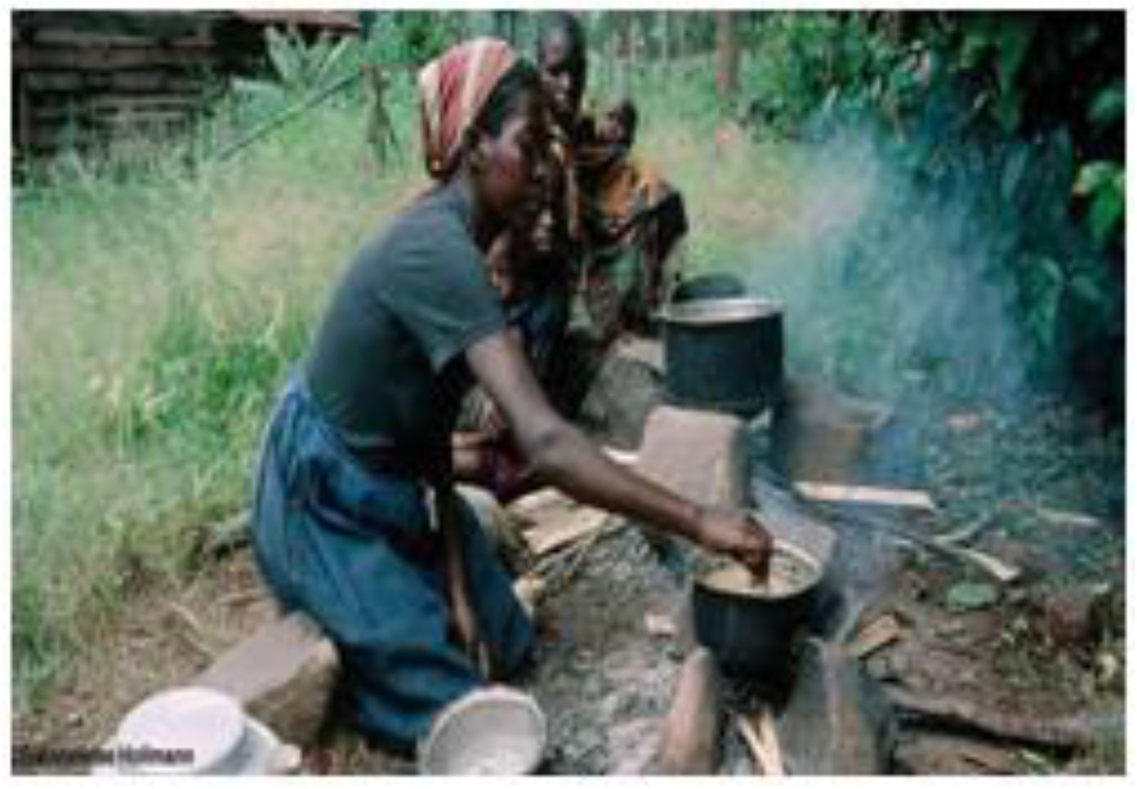 Education 09 00161 g008