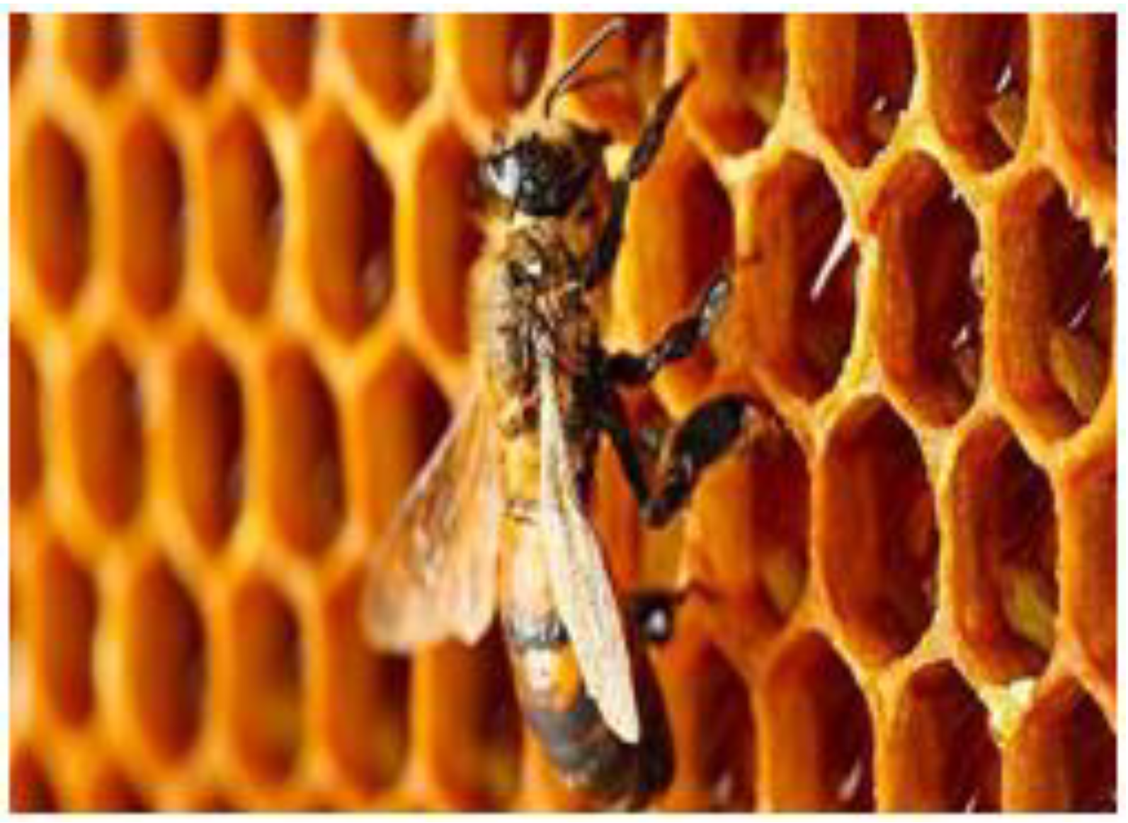 Education 09 00161 g014