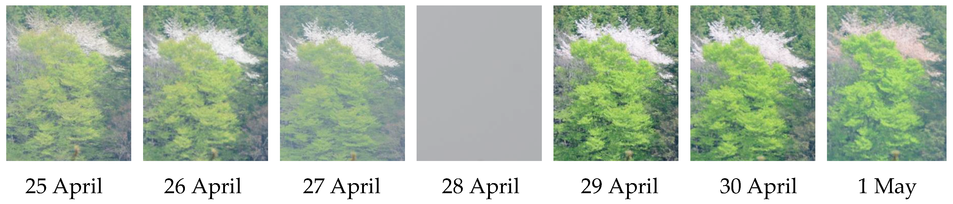 Education 09 00190 g002