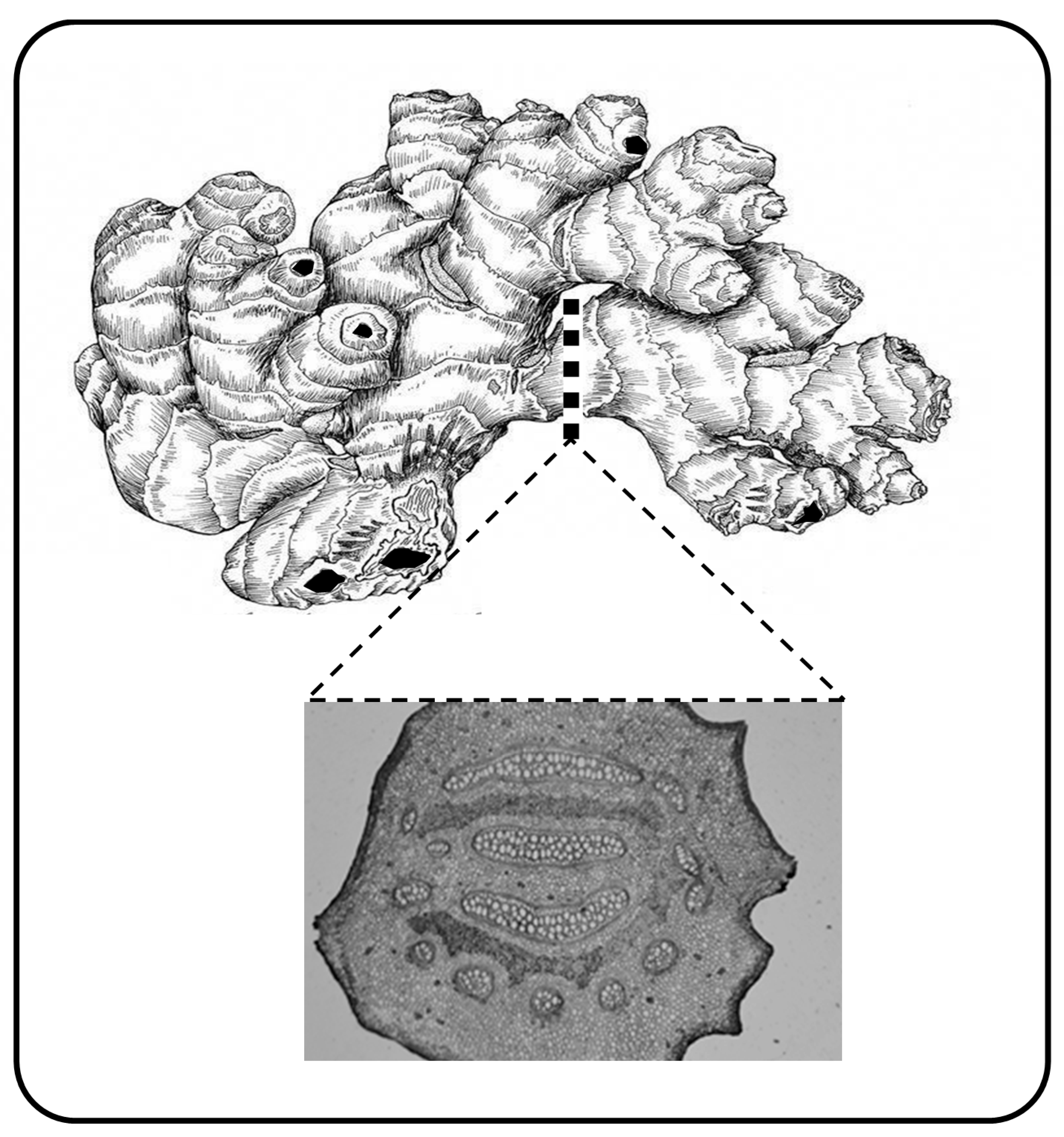 Education 10 00082 g002