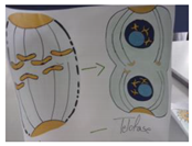 Education 10 00137 i003 Education 10 00137 i003