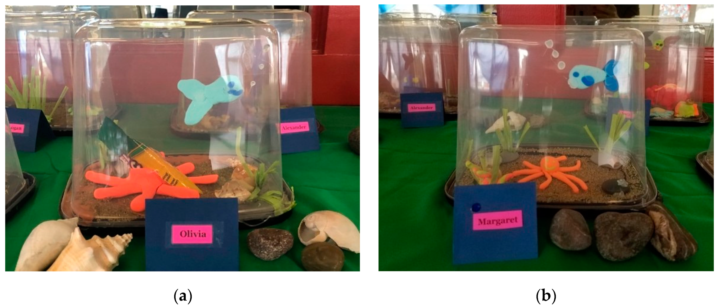 Education 10 00203 g001