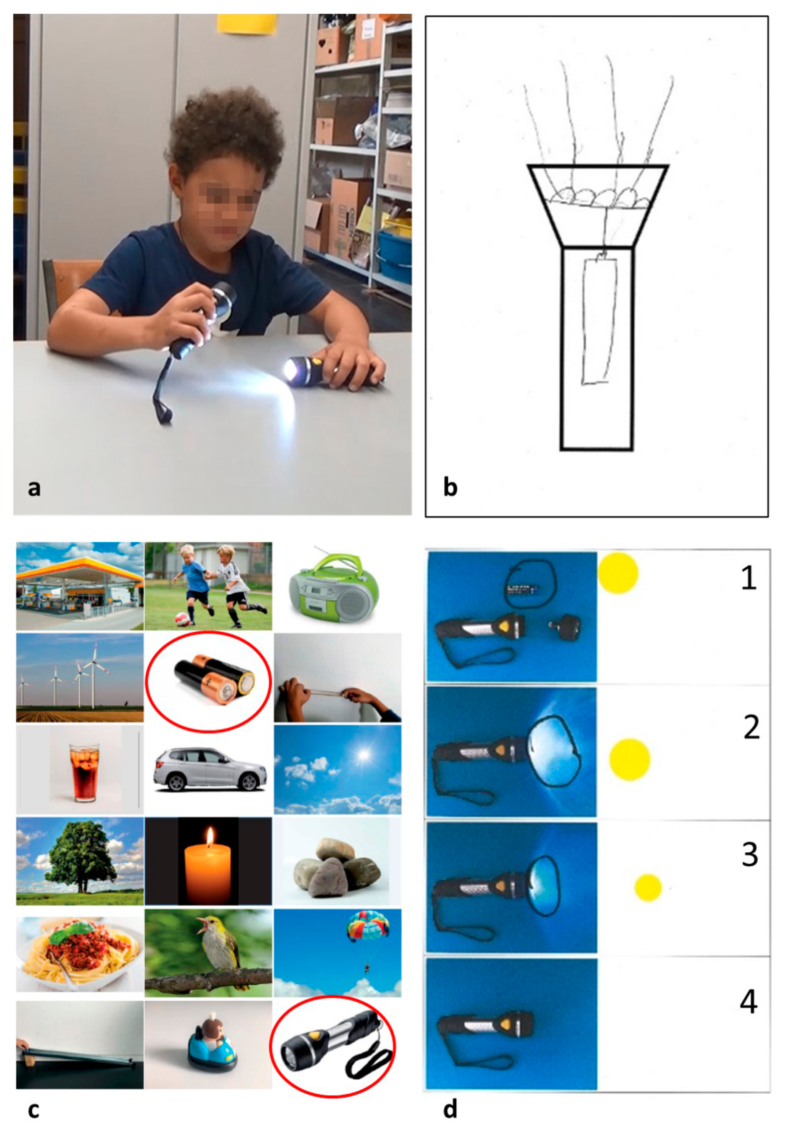 Education 11 00039 g003