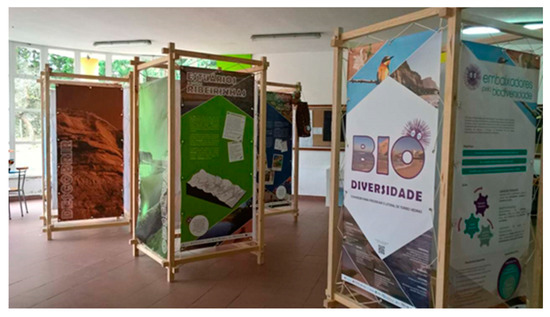 Education 11 00062 g0a1