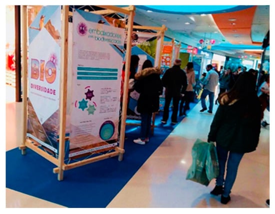 Education 11 00062 g0a2