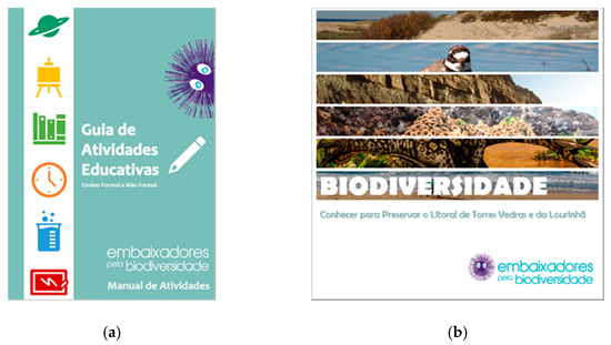 Education 11 00062 g0a3