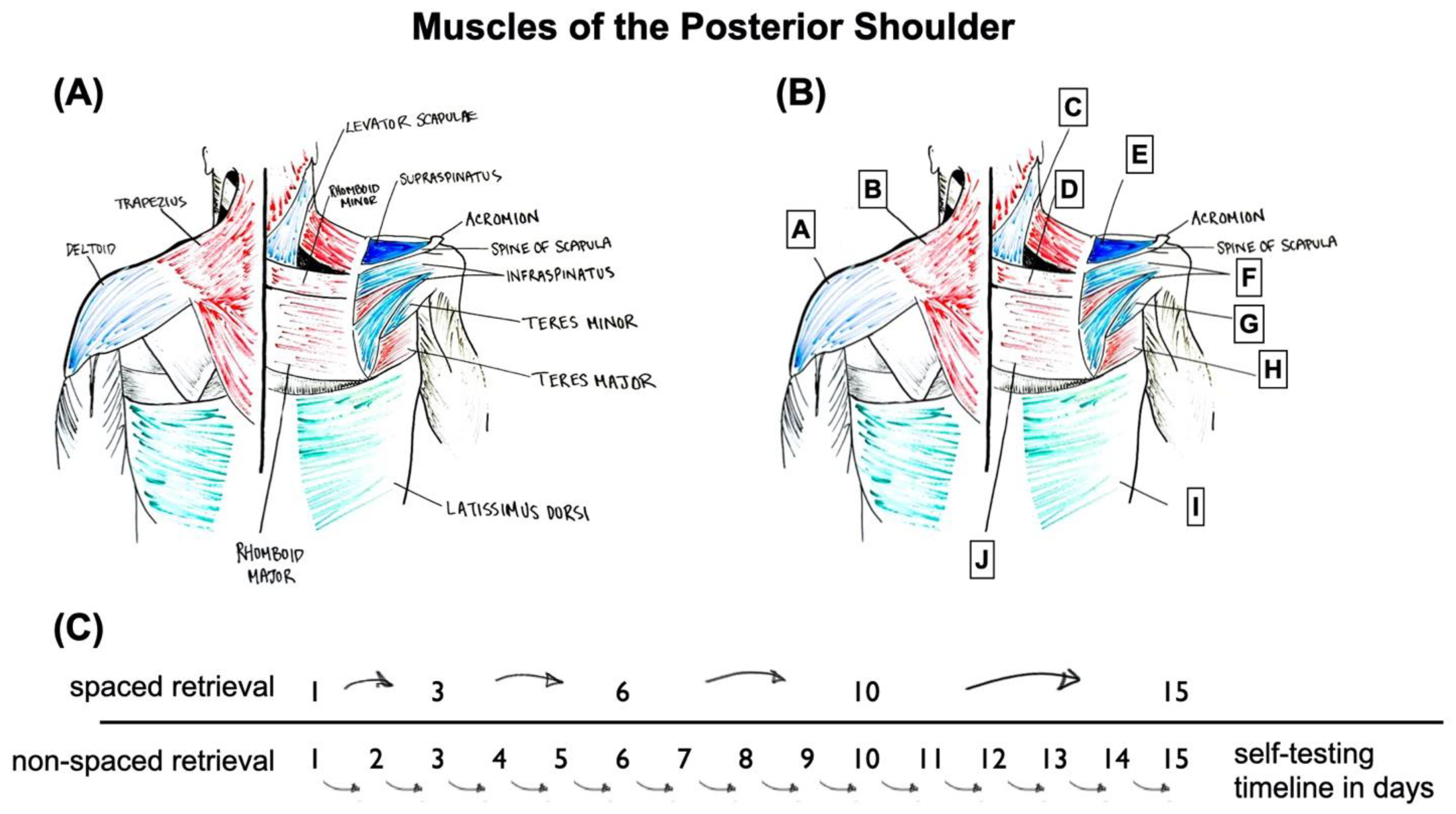Education 11 00090 g001