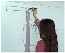 Education 11 00246 i008