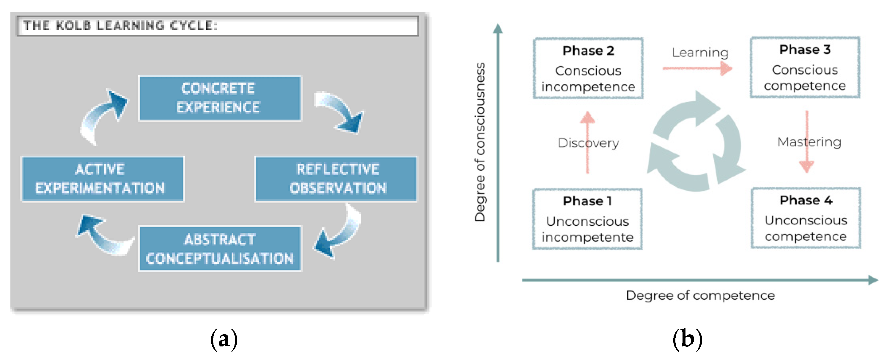 Education 11 00378 g001