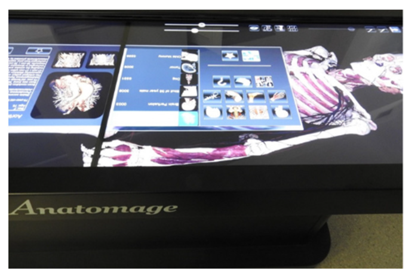 Education 11 00380 g001 Education 11 00380 g001