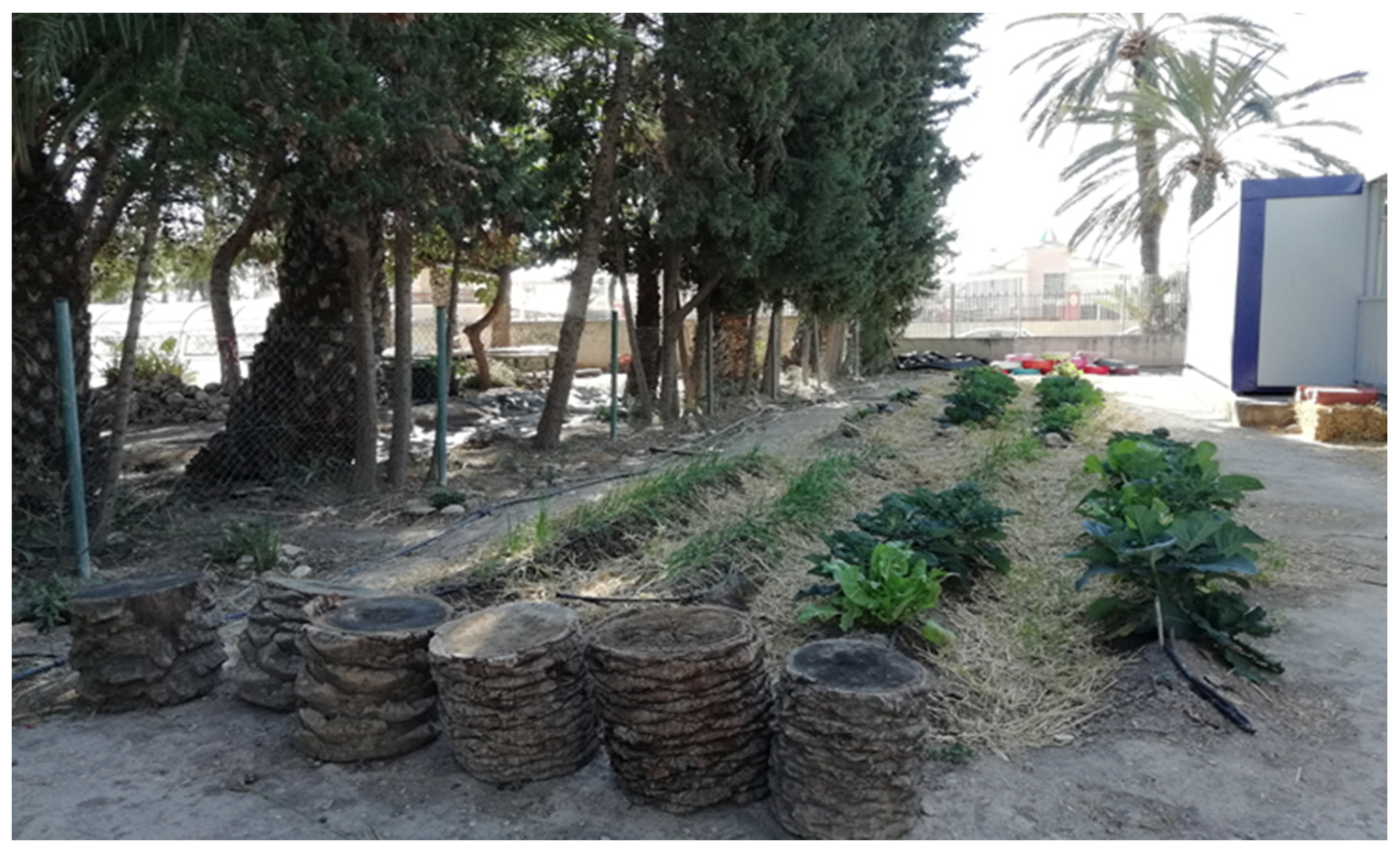 Education 11 00418 g007