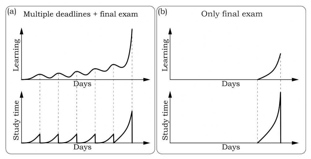 Education 11 00428 g003 Education 11 00428 g003