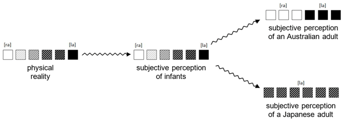 Education 11 00472 i001