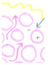 Education 11 00504 i004