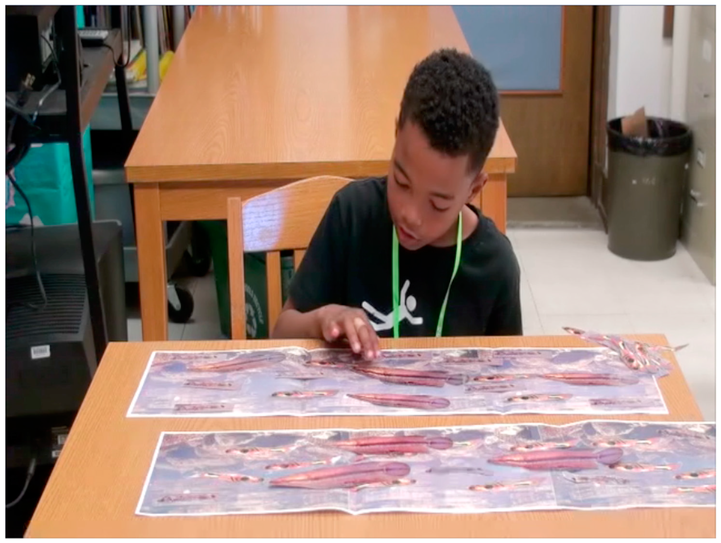 Education 11 00609 g002