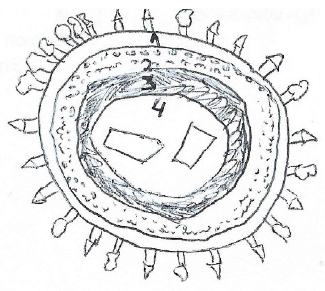 Education 11 00646 g007