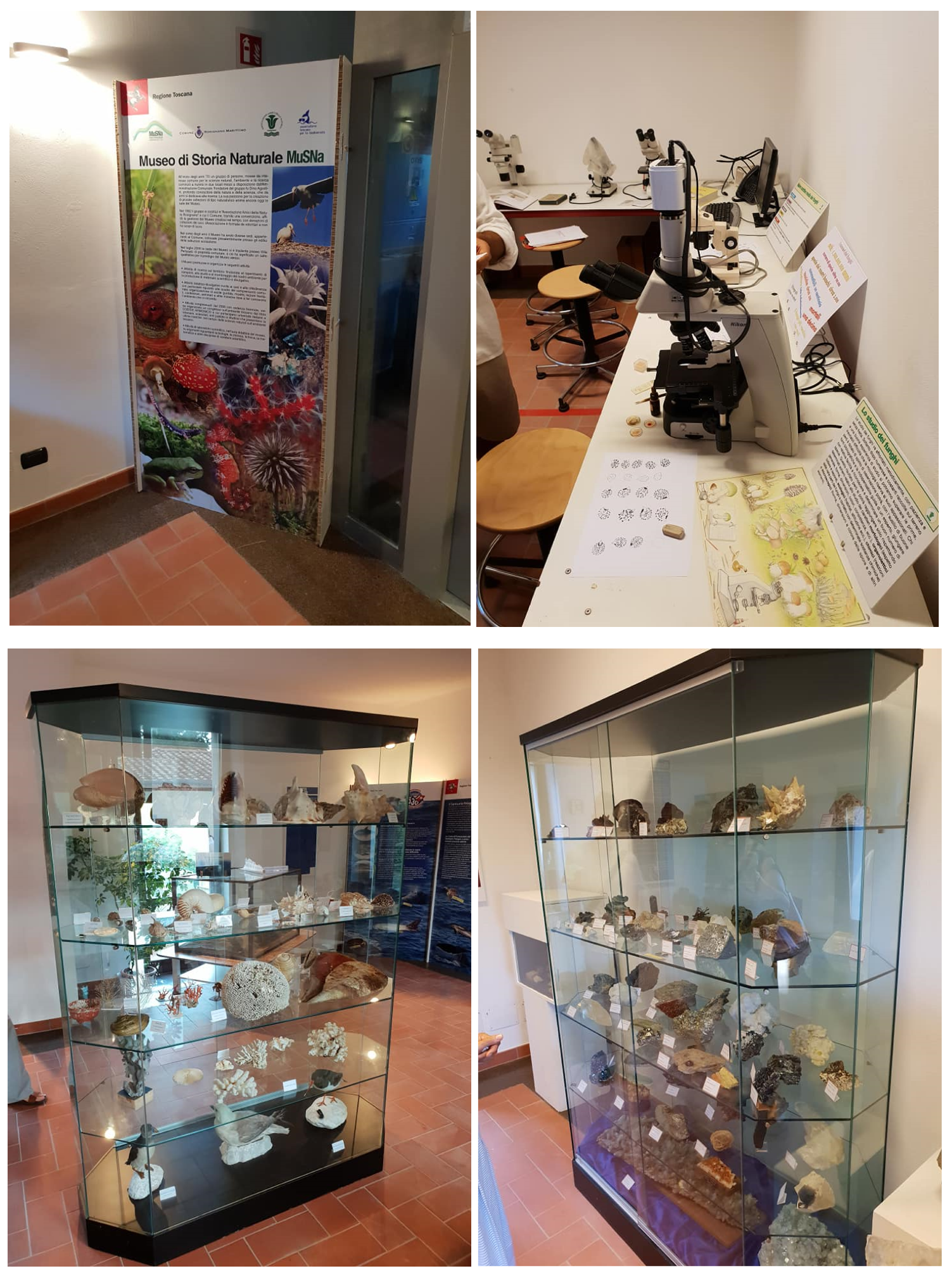 Education 12 00030 g005