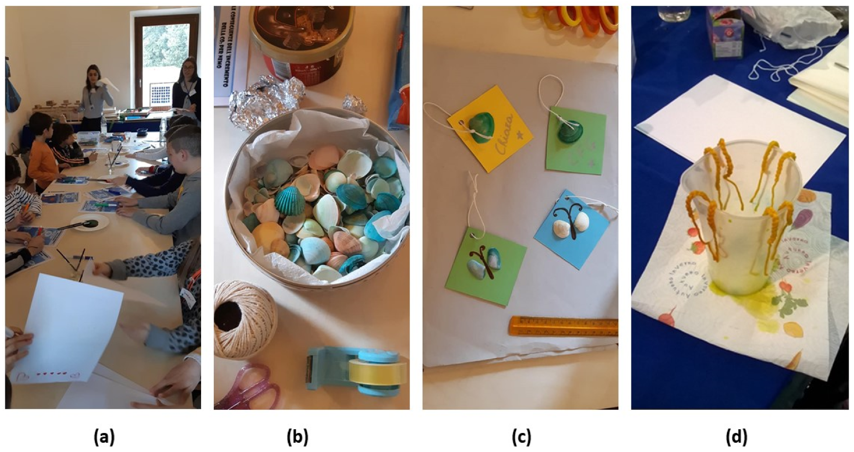 Education 12 00030 g008