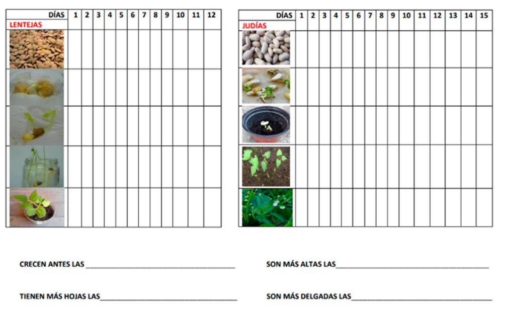 Education 12 00064 g001