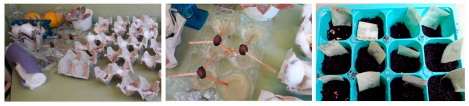 Education 12 00064 g002