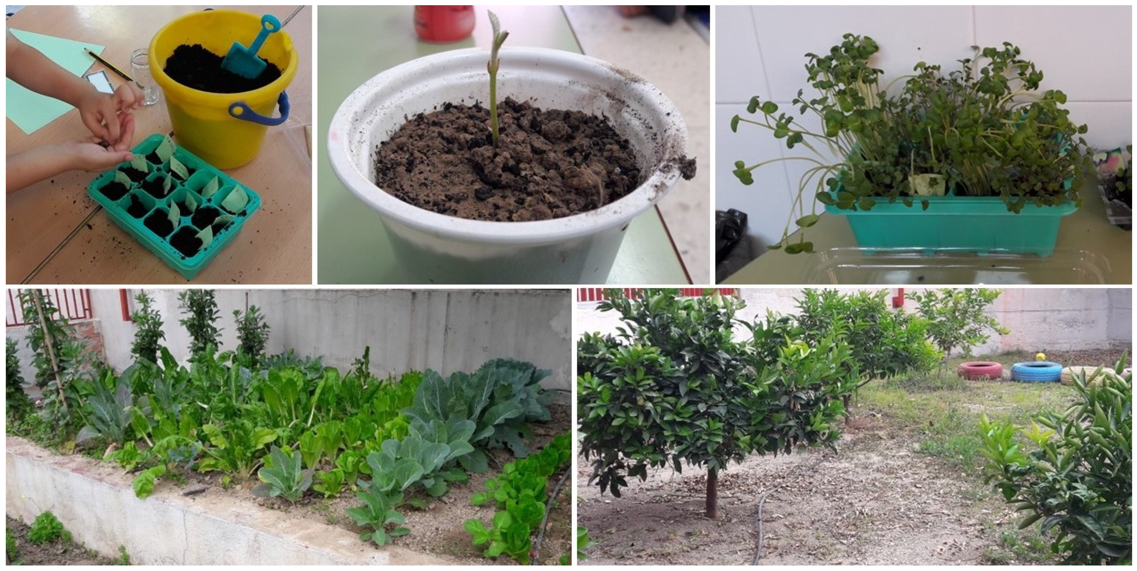 Education 12 00064 g003