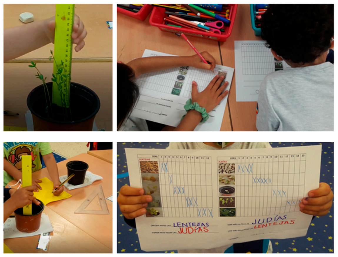 Education 12 00064 g004