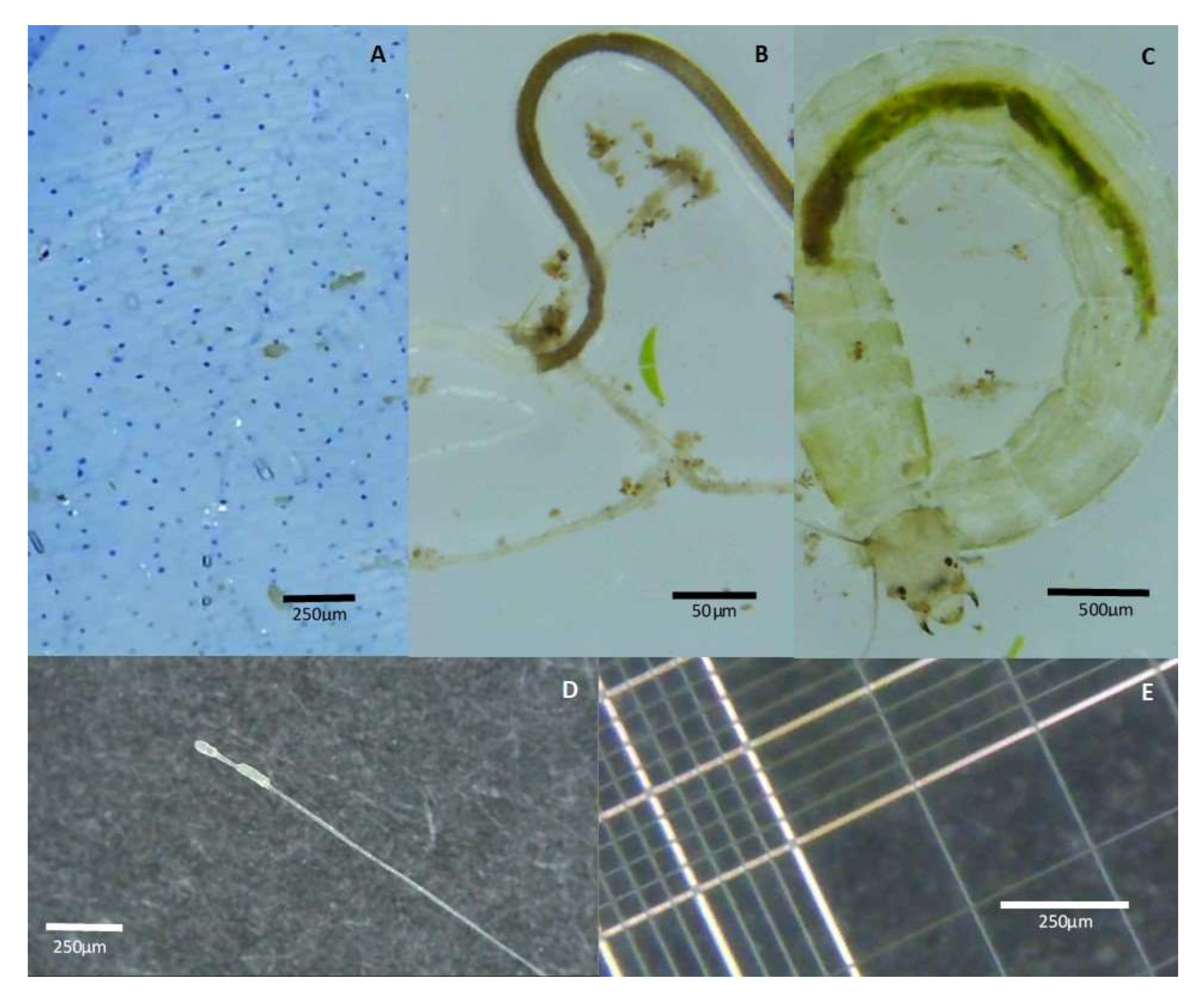 Education 12 00106 g003