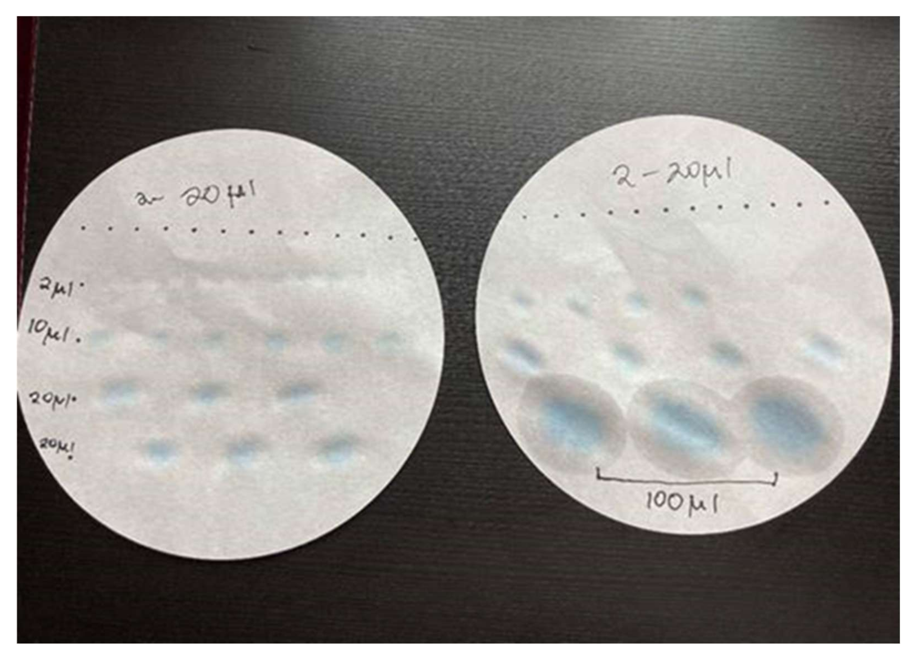 Education 12 00106 g005