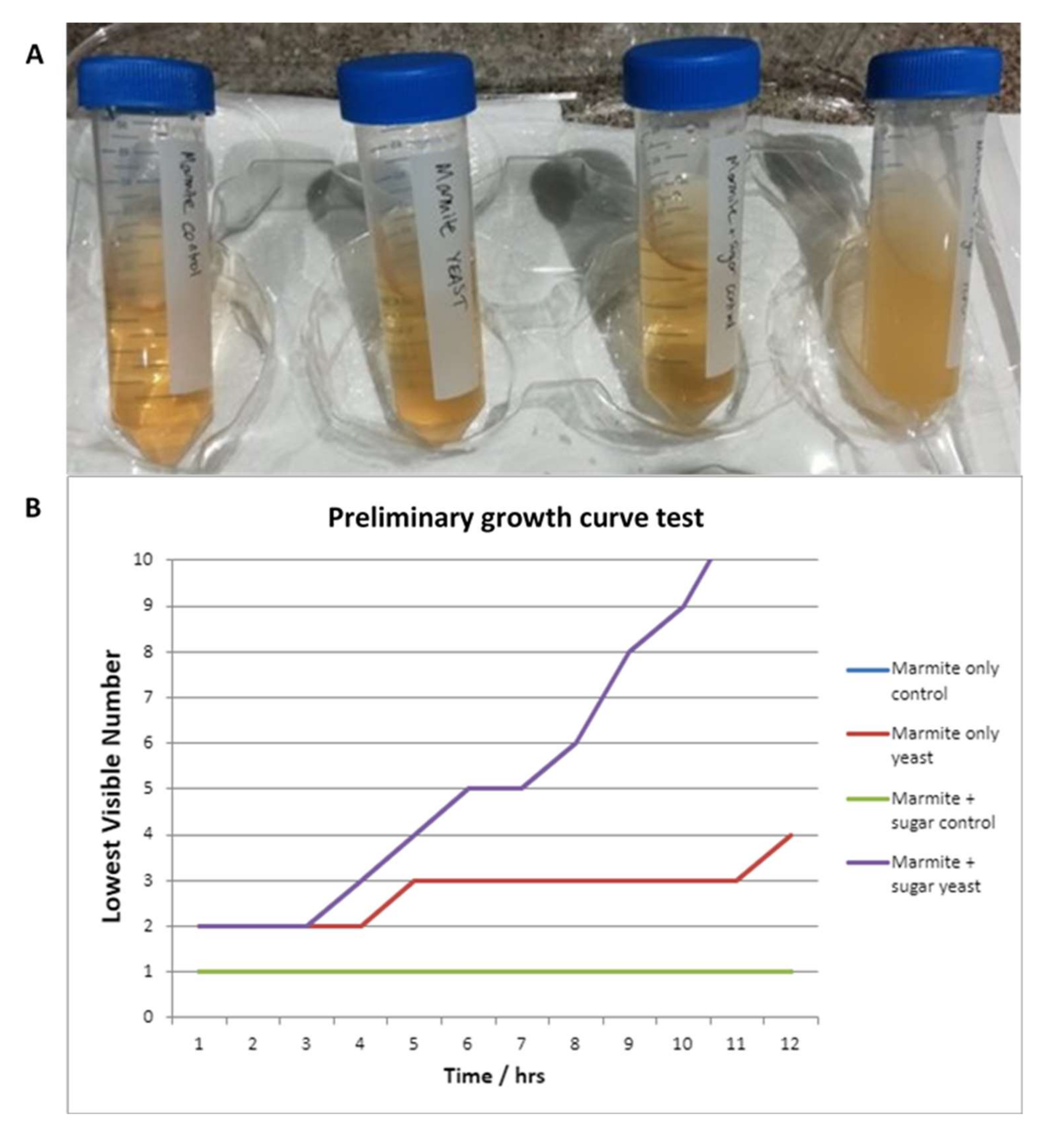 Education 12 00106 g006