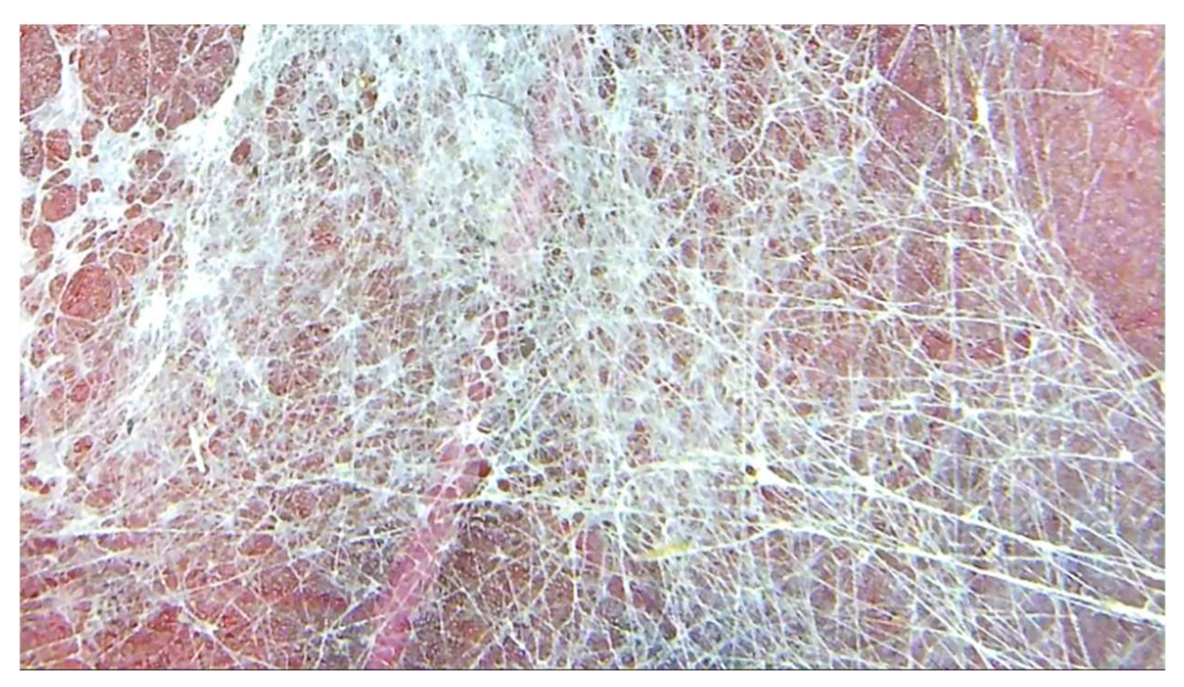 Education 12 00106 g007