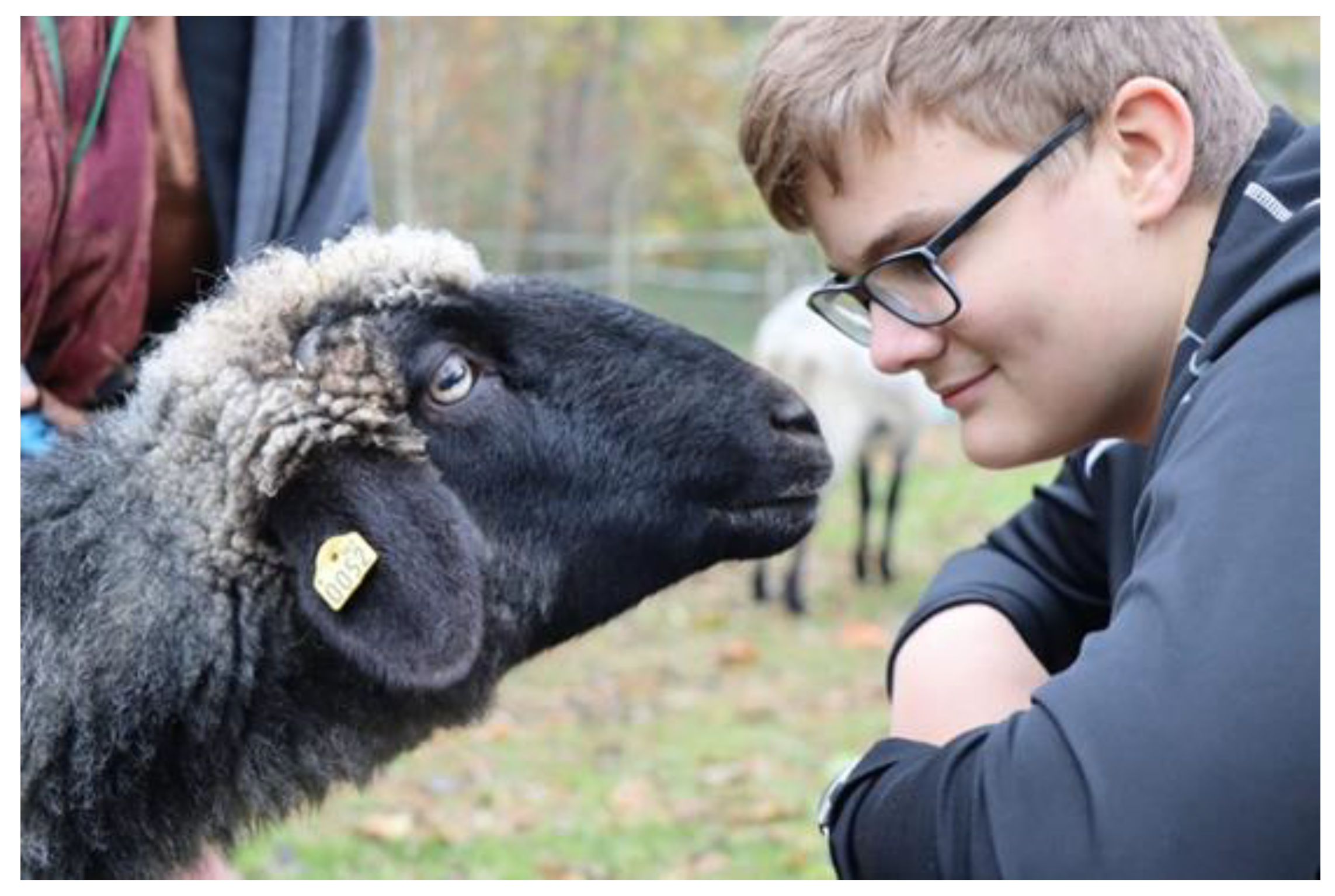 Education 12 00268 g002