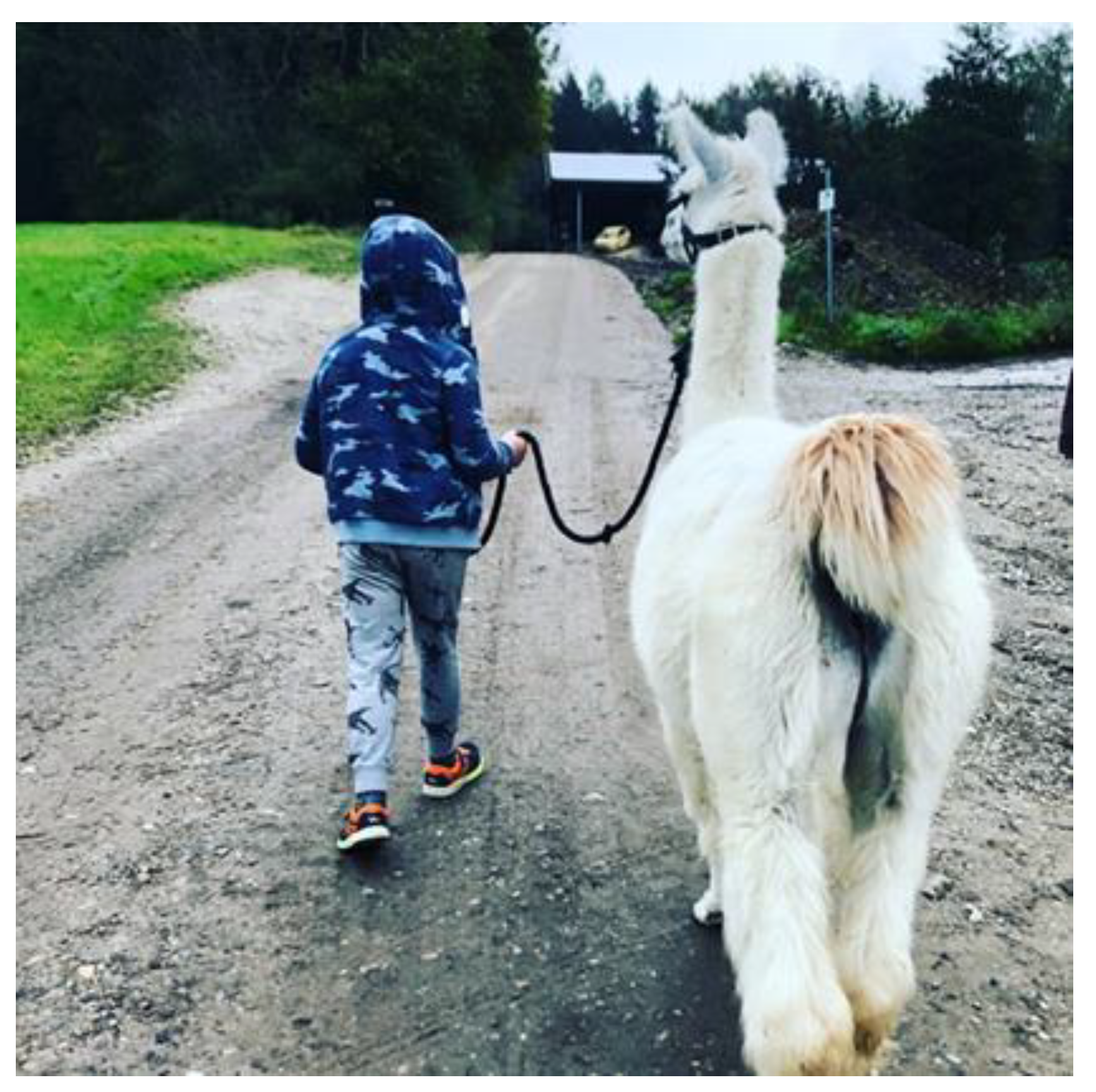 Education 12 00268 g004