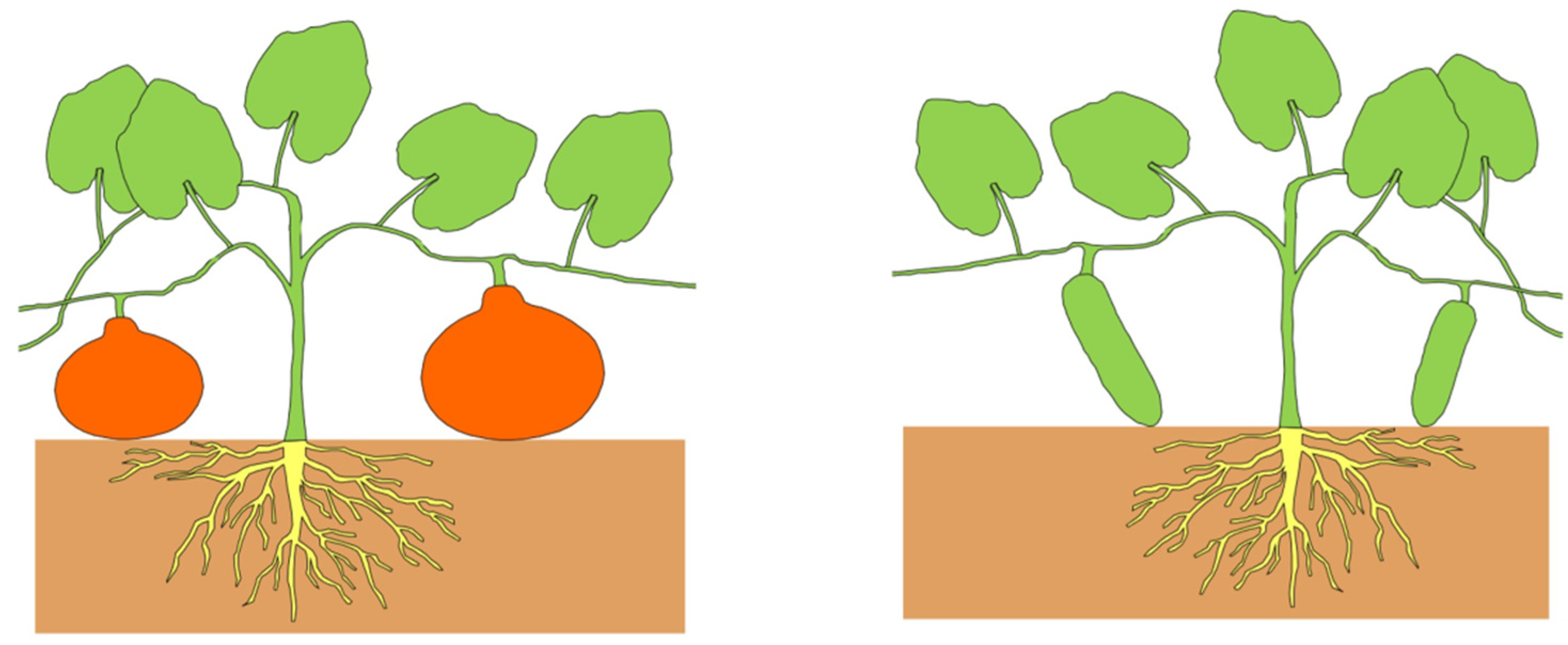 Education 12 00299 g002