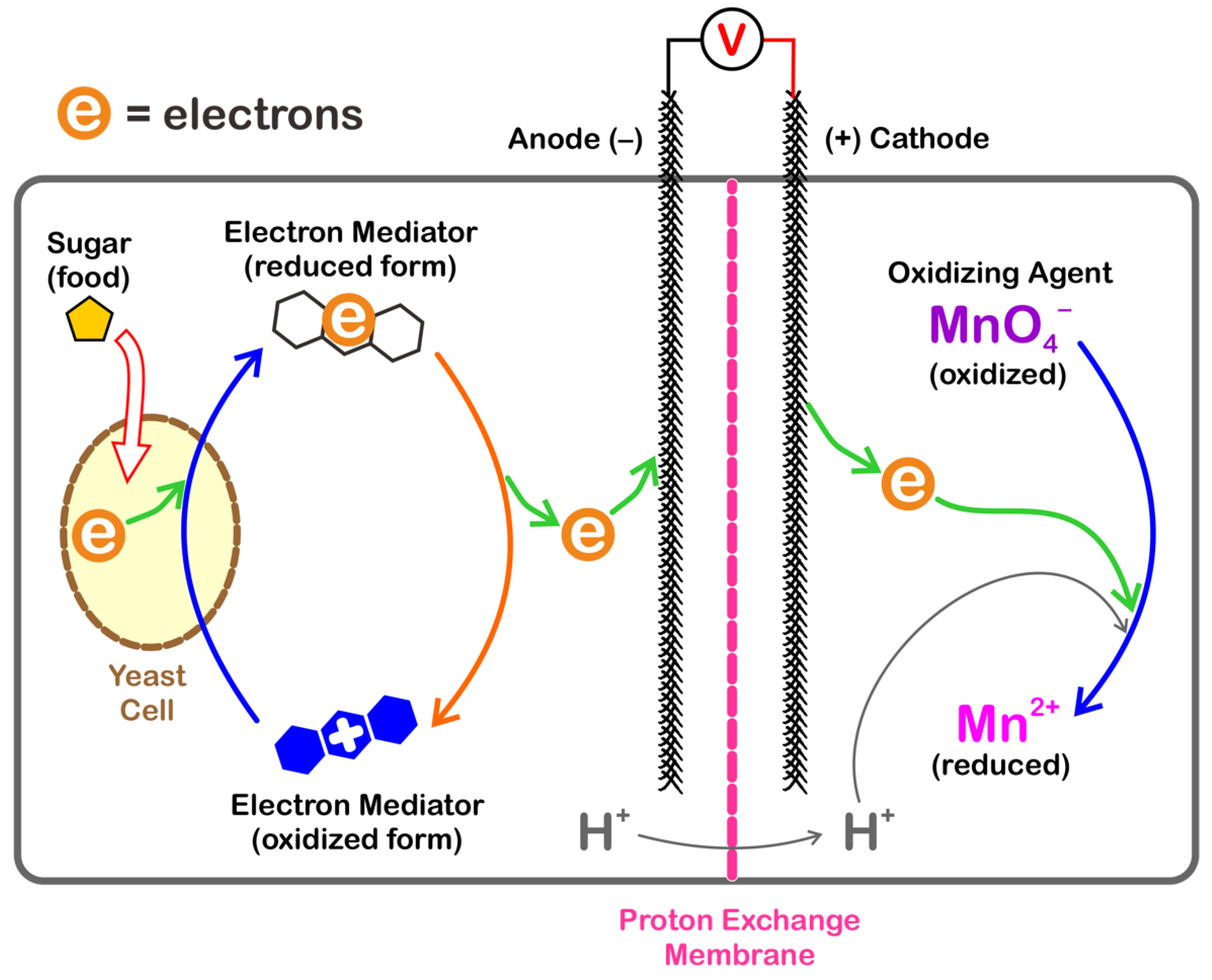 Education 12 00417 g001